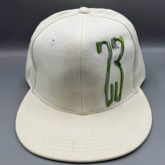 Air Jordan 23 Hat Men‎ 7 3/8 White Green Jumpman Fitted Cap
